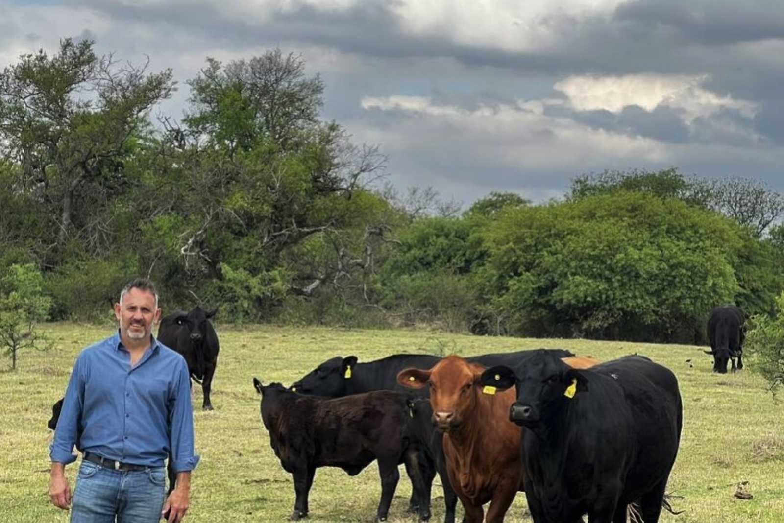 Su familia dejó la ganadería, volvió y con una tecnología una vaca produce 30 terneros año